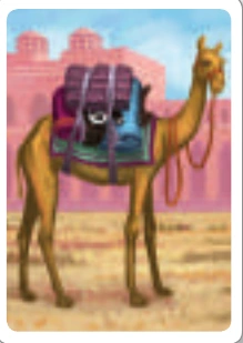 Jaipur camel card